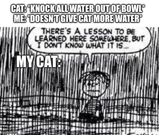 Yes I give my cat more water, I just wait a bit. | CAT: *KNOCK ALL WATER OUT OF BOWL*
ME: *DOESN’T GIVE CAT MORE WATER*; MY CAT: | image tagged in there's a lesson to be learned here somewhere | made w/ Imgflip meme maker