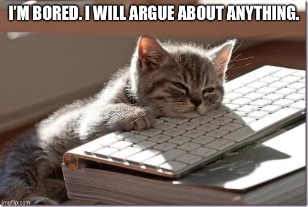 Bored Keyboard Cat | I’M BORED. I WILL ARGUE ABOUT ANYTHING. | image tagged in bored keyboard cat | made w/ Imgflip meme maker