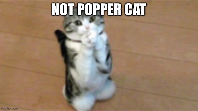 NOT POPPER CAT | image tagged in lol | made w/ Imgflip meme maker