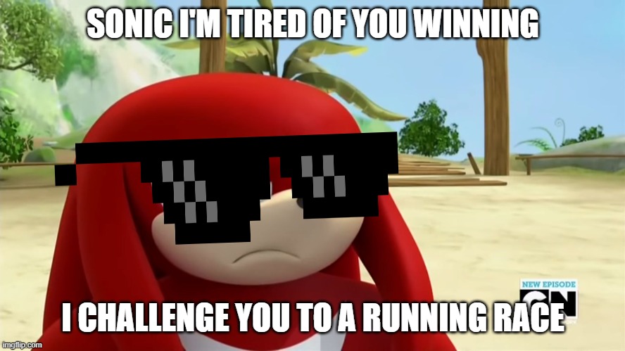 Cool knuckles | SONIC I'M TIRED OF YOU WINNING; I CHALLENGE YOU TO A RUNNING RACE | image tagged in knuckles is not impressed - sonic boom | made w/ Imgflip meme maker