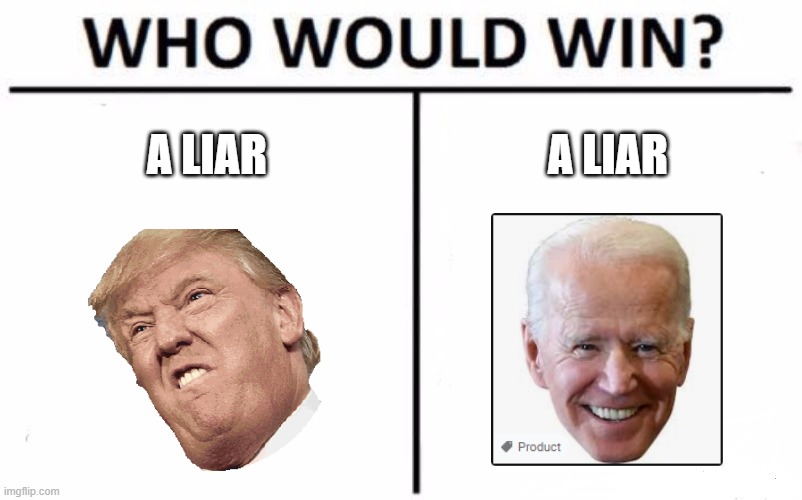 Who Would Win? Meme | A LIAR; A LIAR | image tagged in memes,who would win | made w/ Imgflip meme maker