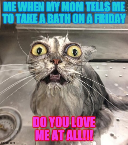 cats | ME WHEN MY MOM TELLS ME TO TAKE A BATH ON A FRIDAY; DO YOU LOVE ME AT ALL!!! | image tagged in funny cat adult | made w/ Imgflip meme maker