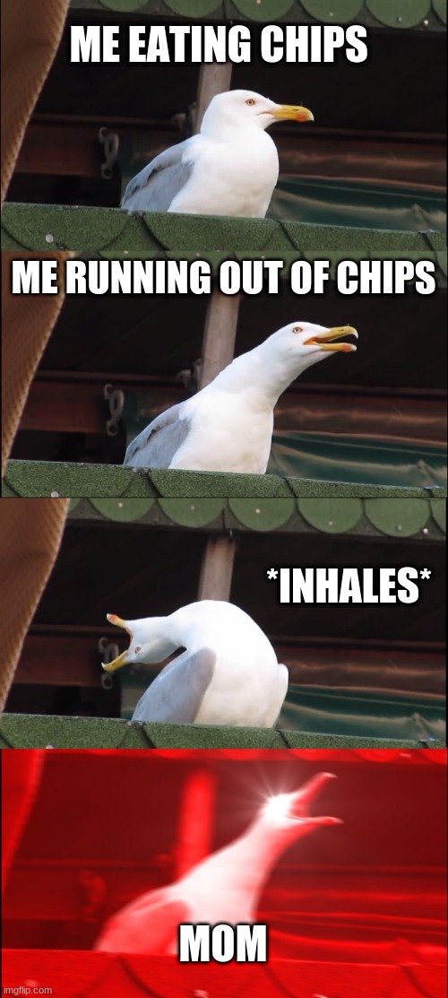 egull | ME EATING CHIPS; ME RUNNING OUT OF CHIPS; *INHALES*; MOM | image tagged in memes,inhaling seagull | made w/ Imgflip meme maker