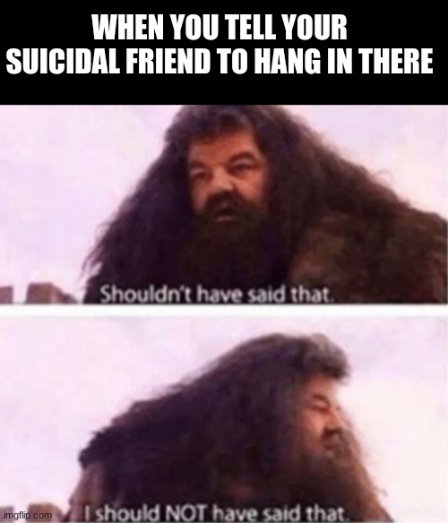Shouldn't have said that | WHEN YOU TELL YOUR SUICIDAL FRIEND TO HANG IN THERE | image tagged in shouldn't have said that | made w/ Imgflip meme maker
