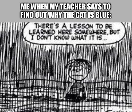 *next day later* *gets assigned to write a 100 pg essay* | ME WHEN MY TEACHER SAYS TO FIND OUT WHY THE CAT IS BLUE: | image tagged in there's a lesson to be learned here somewhere | made w/ Imgflip meme maker
