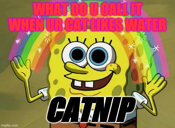 i dout this actually funny but ... | WHAT DO U CALL IT WHEN UR CAT LIKES WATER; CATNIP | image tagged in memes,imagination spongebob,cats | made w/ Imgflip meme maker