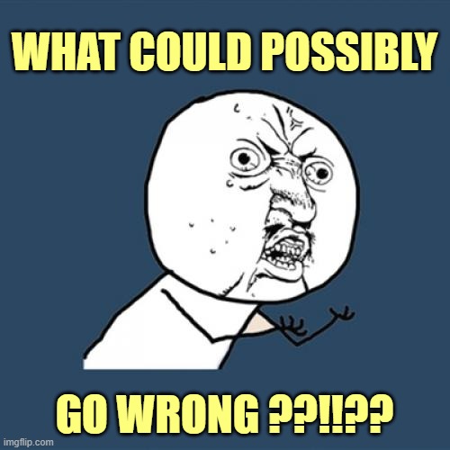 Y U No Meme | WHAT COULD POSSIBLY GO WRONG ??!!?? | image tagged in memes,y u no | made w/ Imgflip meme maker