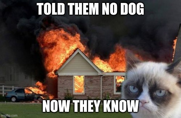 Grumpy Cat Fire | TOLD THEM NO DOG; NOW THEY KNOW | image tagged in memes,burn kitty,grumpy cat | made w/ Imgflip meme maker