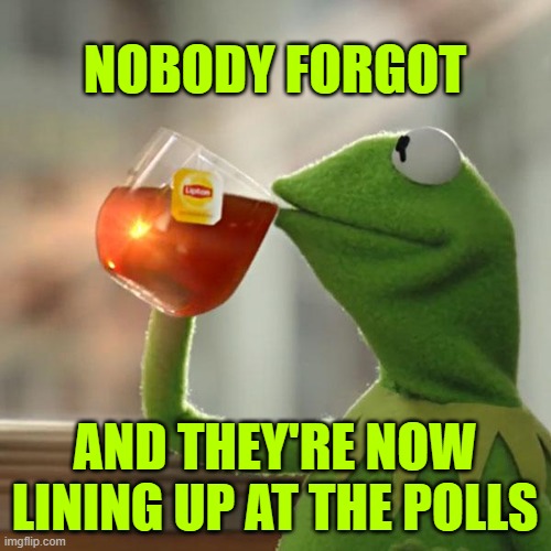 But That's None Of My Business Meme | NOBODY FORGOT AND THEY'RE NOW LINING UP AT THE POLLS | image tagged in memes,but that's none of my business,kermit the frog | made w/ Imgflip meme maker