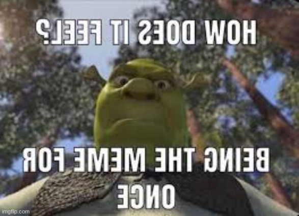 How Does it Feel | image tagged in memes,shrek | made w/ Imgflip meme maker