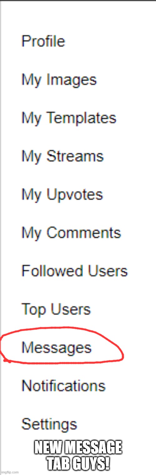 I was online and refreshed and it appeared | NEW MESSAGE TAB GUYS! | image tagged in cool | made w/ Imgflip meme maker