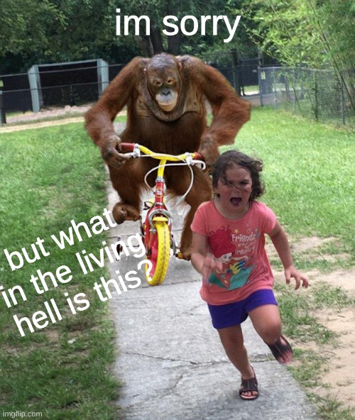 tf is happening | im sorry; but what in the living hell is this? | image tagged in orangutan chasing girl on a tricycle | made w/ Imgflip meme maker