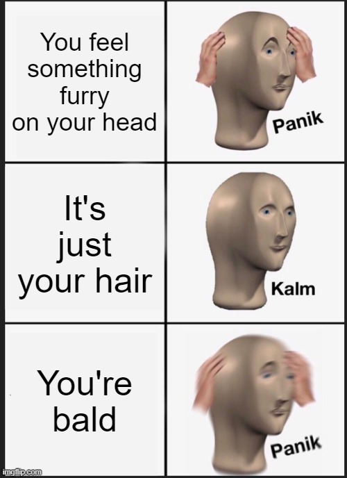 Panik Kalm Panik | You feel something furry on your head; It's just your hair; You're bald | image tagged in memes,panik kalm panik | made w/ Imgflip meme maker