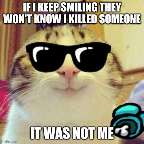 cats | IF I KEEP SMILING THEY WON'T KNOW I KILLED SOMEONE; IT WAS NOT ME | image tagged in memes,smiling cat | made w/ Imgflip meme maker