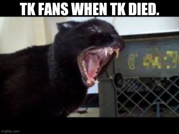 Talking Kitty | TK FANS WHEN TK DIED. | image tagged in sylvester the talking kitty cat | made w/ Imgflip meme maker