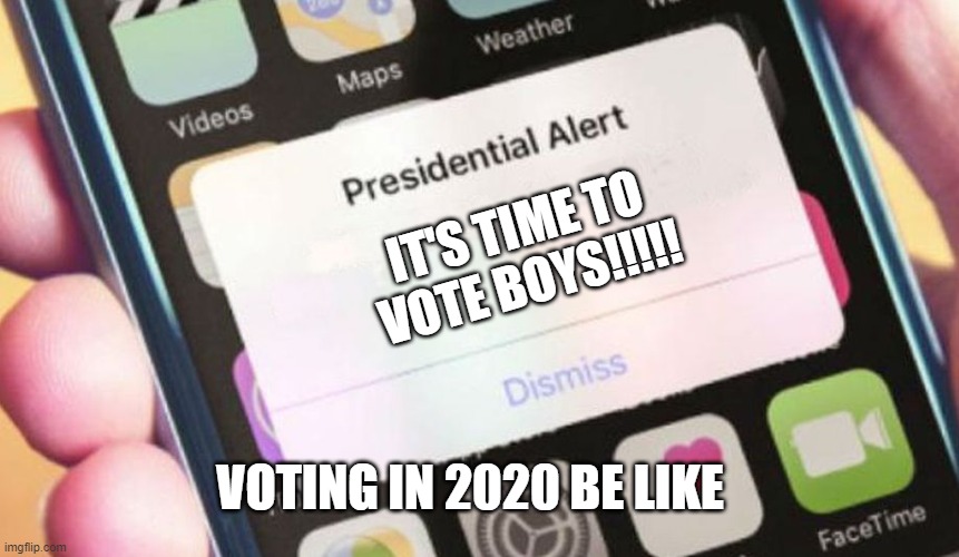 Presidential Alert | IT'S TIME TO VOTE BOYS!!!!! VOTING IN 2020 BE LIKE | image tagged in memes,presidential alert | made w/ Imgflip meme maker
