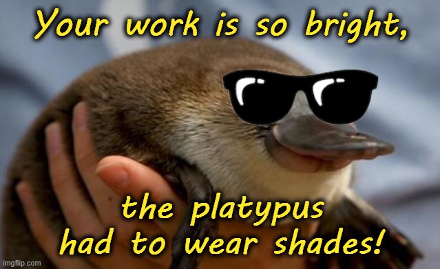 Happy Platypus | Your work is so bright, the platypus had to wear shades! | image tagged in happy platypus | made w/ Imgflip meme maker