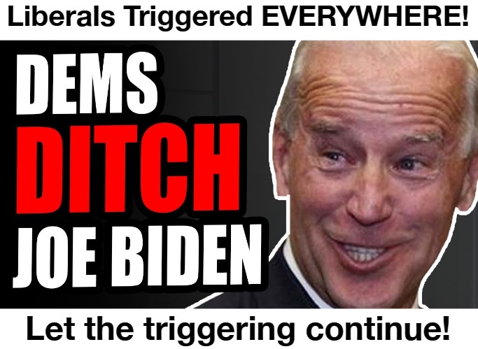 Dems Ditch Joe Biden! | Liberals Triggered EVERYWHERE! Let the triggering continue! | image tagged in sad joe biden,triggered liberals,sjw triggered,angry sjw,liberal tears,biden scandals | made w/ Imgflip meme maker
