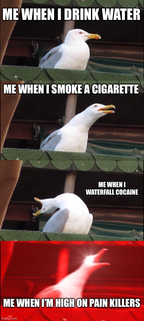 Inhaling Seagull Meme | ME WHEN I DRINK WATER; ME WHEN I SMOKE A CIGARETTE; ME WHEN I WATERFALL COCAINE; ME WHEN I’M HIGH ON PAIN KILLERS | image tagged in memes,inhaling seagull | made w/ Imgflip meme maker