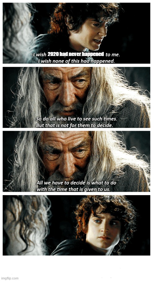 An encouraging thought | 2020 had never happened | image tagged in lotr,2020,gandalf,frodo | made w/ Imgflip meme maker