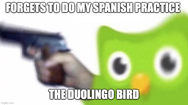 duolingo gun | FORGETS TO DO MY SPANISH PRACTICE; THE DUOLINGO BIRD | image tagged in duolingo gun | made w/ Imgflip meme maker