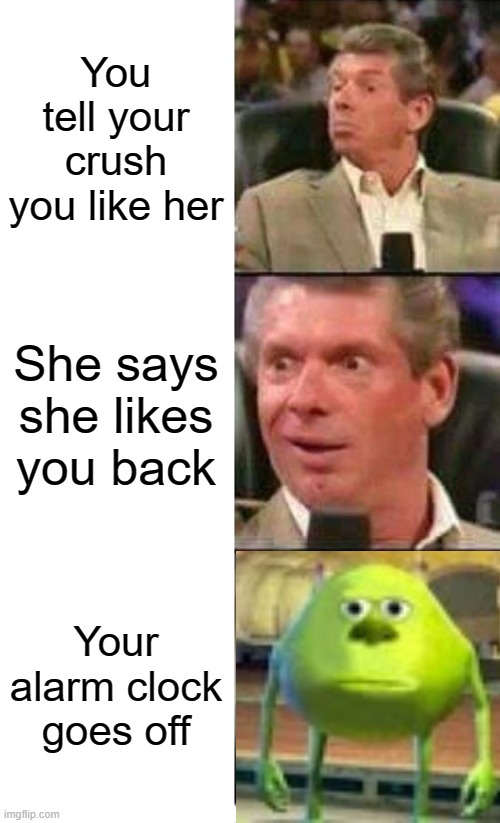 Noooooo | You tell your crush you like her; She says she likes you back; Your alarm clock goes off | image tagged in vince mcmahon,mike wazowski,funny memes,school | made w/ Imgflip meme maker
