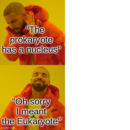 Drake Hotline Bling Meme | "The prokaryote has a nucleus"; "Oh sorry I meant the Eukaryote" | image tagged in memes,drake hotline bling | made w/ Imgflip meme maker