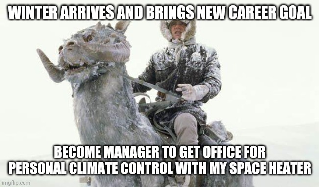 Star Wars Cold | WINTER ARRIVES AND BRINGS NEW CAREER GOAL; BECOME MANAGER TO GET OFFICE FOR PERSONAL CLIMATE CONTROL WITH MY SPACE HEATER | image tagged in star wars cold | made w/ Imgflip meme maker