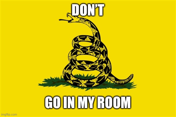 dont tread on me | DON’T; GO IN MY ROOM | image tagged in dont tread on me | made w/ Imgflip meme maker