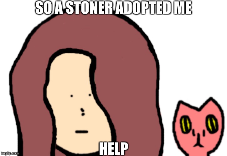 I just saw that he was right after I said “OK” | SO A STONER ADOPTED ME; HELP | image tagged in why,did,i,do,this | made w/ Imgflip meme maker