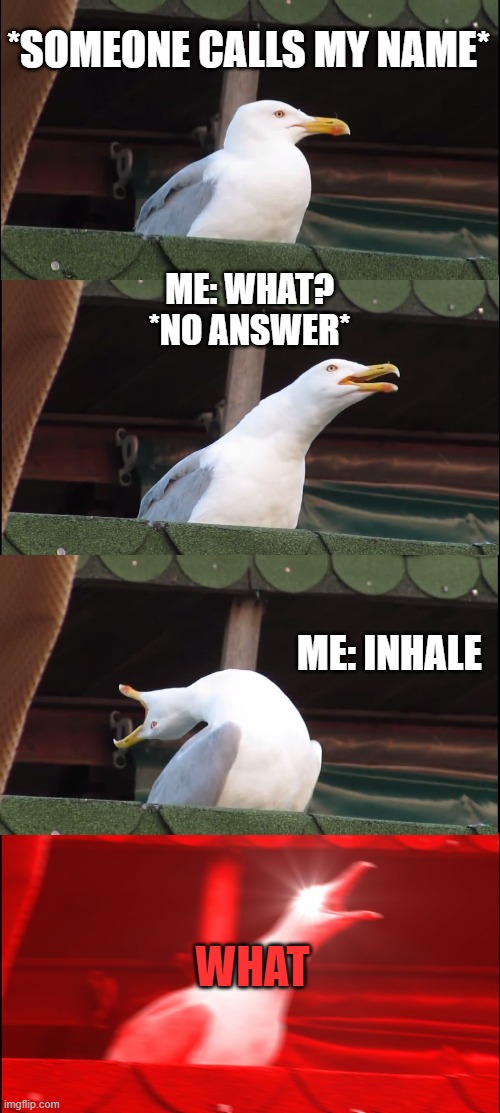 When someone calls my name | *SOMEONE CALLS MY NAME*; ME: WHAT?


*NO ANSWER*; ME: INHALE; WHAT | image tagged in memes,inhaling seagull | made w/ Imgflip meme maker