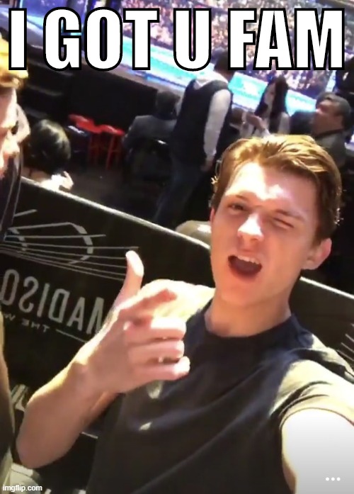 I got you (Tom Holland) | I GOT U FAM | image tagged in i got you tom holland | made w/ Imgflip meme maker