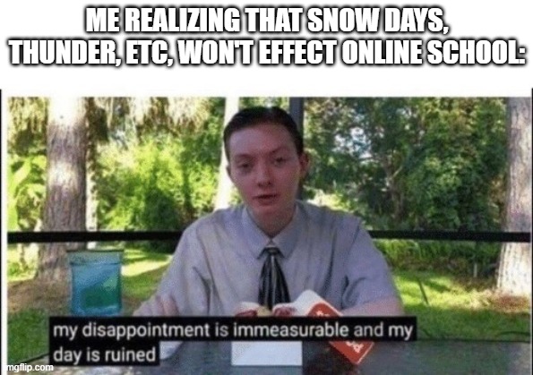 It sucks unless you are actually going to school. | ME REALIZING THAT SNOW DAYS, THUNDER, ETC, WON'T EFFECT ONLINE SCHOOL: | image tagged in my dissapointment is immeasurable and my day is ruined | made w/ Imgflip meme maker