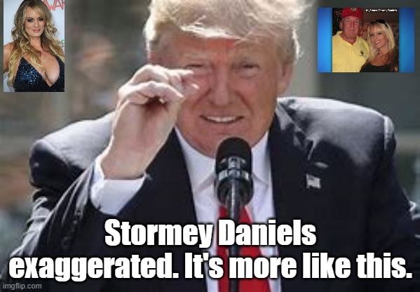 Stormey | Stormey Daniels exaggerated. It's more like this. | image tagged in donald trump | made w/ Imgflip meme maker