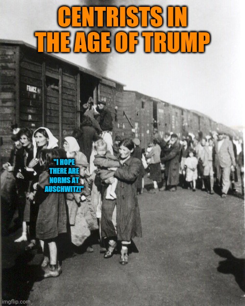 CENTRISTS IN THE AGE OF TRUMP; "I HOPE

THERE ARE NORMS AT AUSCHWITZ!" | image tagged in dark humor,fascism,concentration camp,denial,i see dead people,normies | made w/ Imgflip meme maker