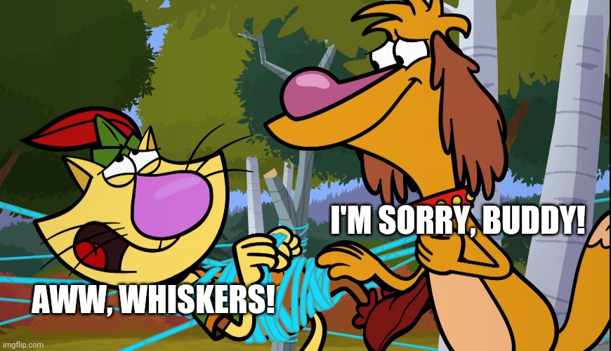 I'M SORRY, BUDDY! AWW, WHISKERS! | made w/ Imgflip meme maker