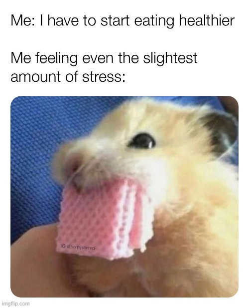 no lies | image tagged in repost,stress,stressed out,stressed mouse,stressed meme,reposts | made w/ Imgflip meme maker
