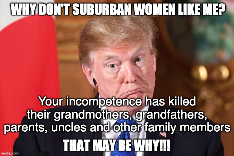 If you have to ask why . . . you're not too smart | WHY DON'T SUBURBAN WOMEN LIKE ME? Your incompetence has killed their grandmothers, grandfathers, parents, uncles and other family members; THAT MAY BE WHY!!! | image tagged in trump dumbfounded,trump,covid,death,women,election | made w/ Imgflip meme maker