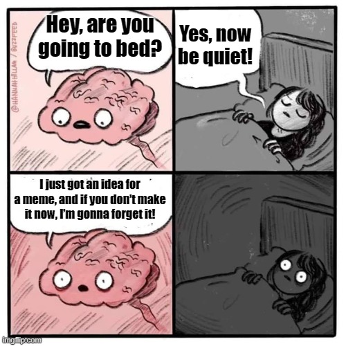 When Inspiration Strikes | Yes, now be quiet! Hey, are you going to bed? I just got an idea for a meme, and if you don’t make it now, I’m gonna forget it! | image tagged in are you sleeping brain | made w/ Imgflip meme maker