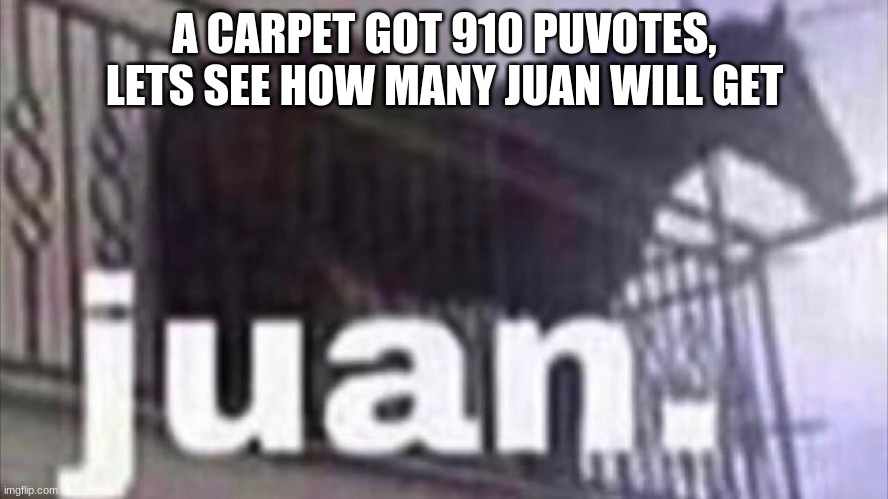 juan | A CARPET GOT 910 PUVOTES, LETS SEE HOW MANY JUAN WILL GET | image tagged in fun,juan | made w/ Imgflip meme maker