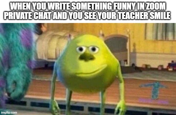 do other people do this or is it just me | WHEN YOU WRITE SOMETHING FUNNY IN ZOOM PRIVATE CHAT AND YOU SEE YOUR TEACHER SMILE | image tagged in mike wazowski,online school,zoom | made w/ Imgflip meme maker