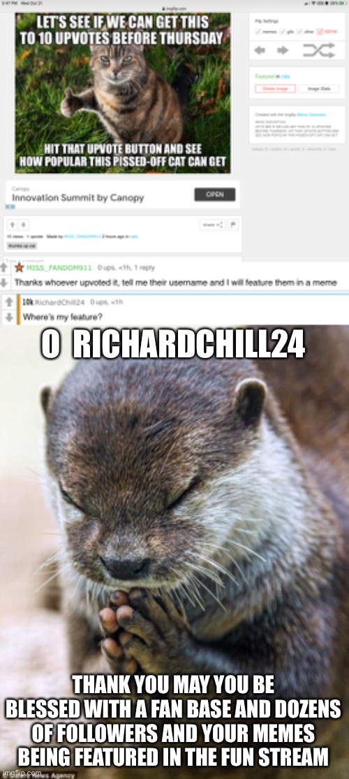 O  RICHARDCHILL24; THANK YOU MAY YOU BE BLESSED WITH A FAN BASE AND DOZENS OF FOLLOWERS AND YOUR MEMES BEING FEATURED IN THE FUN STREAM | image tagged in thank you lord otter | made w/ Imgflip meme maker