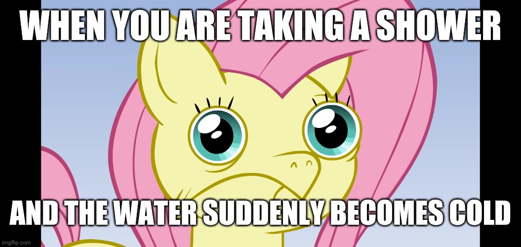 Brr... New template, try it out! | WHEN YOU ARE TAKING A SHOWER; AND THE WATER SUDDENLY BECOMES COLD | image tagged in uncomfortable fluttershy,memes,shower,cold,new template | made w/ Imgflip meme maker