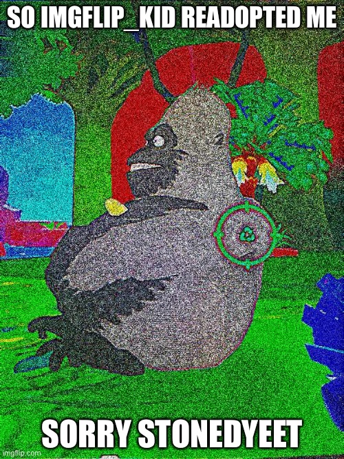 :l | SO IMGFLIP_KID READOPTED ME; SORRY STONEDYEET | image tagged in deep fried gorilla | made w/ Imgflip meme maker
