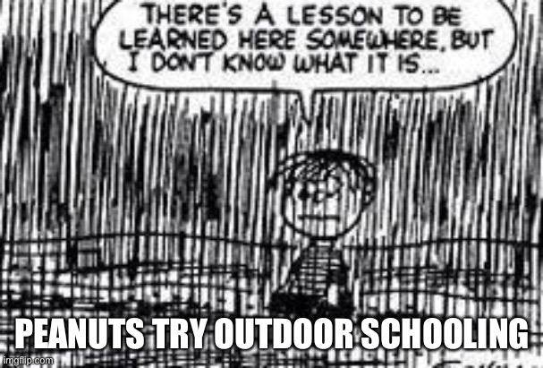 A cold is better than COVID-19 | PEANUTS TRY OUTDOOR SCHOOLING | image tagged in there's a lesson to be learned here somewhere | made w/ Imgflip meme maker