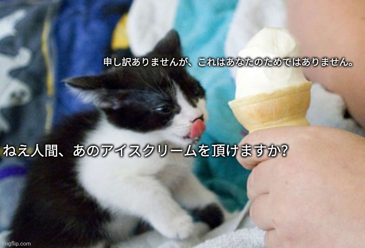 猫はアイスクリームが欲しい | 申し訳ありませんが、これはあなたのためではありません。; ねえ人間、あのアイスクリームを頂けますか？ | image tagged in kitty wants ice cream | made w/ Imgflip meme maker