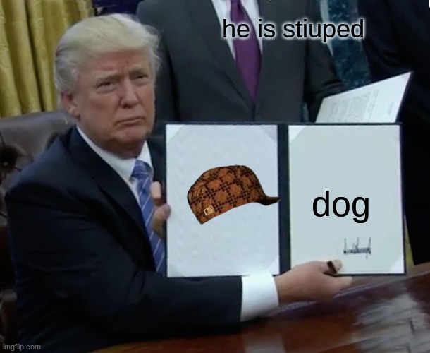 Trump Bill Signing | he is stiuped; dog | image tagged in memes,trump bill signing | made w/ Imgflip meme maker