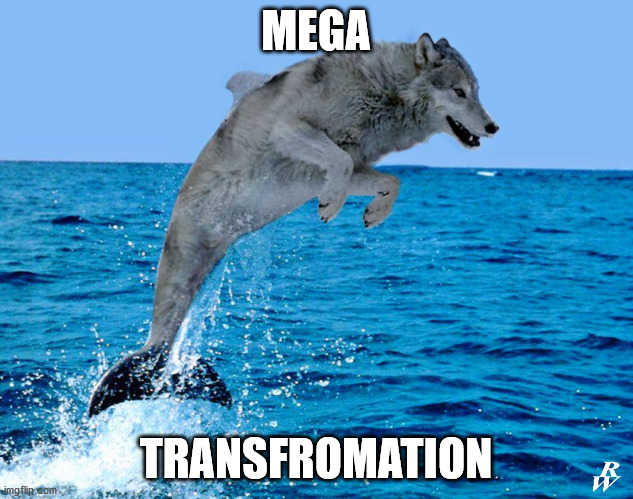 sea wolf dolphin wolf | MEGA; TRANSFROMATION | image tagged in sea wolf,dolphin,mega,tranformation,lol | made w/ Imgflip meme maker