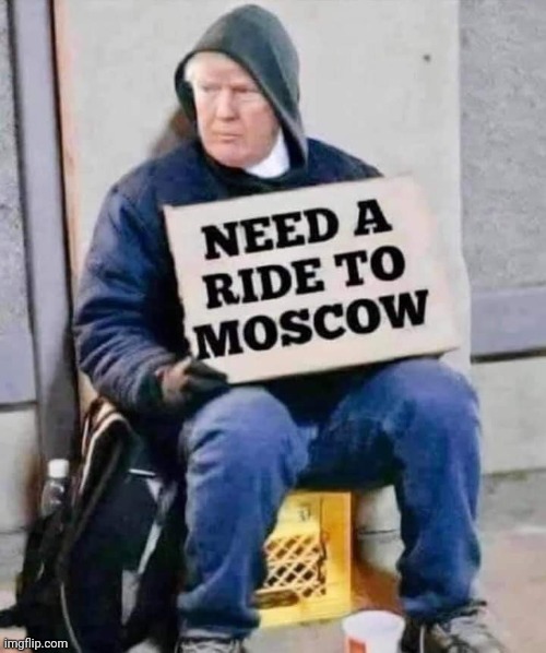 image tagged in trump | made w/ Imgflip meme maker