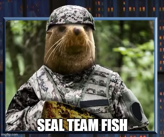 Seal Team Fish | SEAL TEAM FISH | image tagged in animals,fun | made w/ Imgflip meme maker